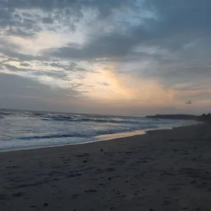 Sunshine Service Kannur